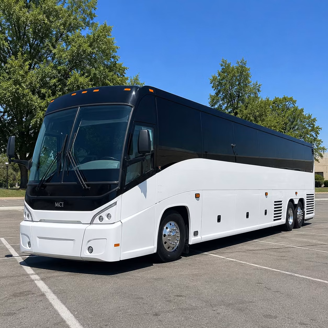 chandler to the grand canyon rocky point and popular arizona day trips